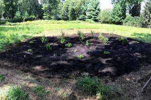 Restoration of Meadows in Darien, CT