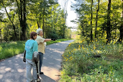 Tackling Tree Inequity