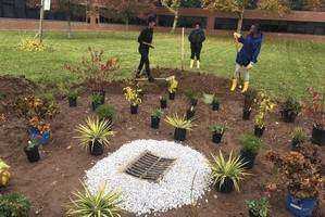 Engaging High School Community in the Rain Garden Experience