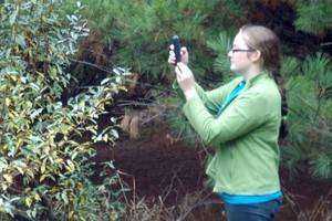Invasive Species Management in Belding Wildlife Management Area