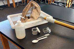 Macroinvertebrates