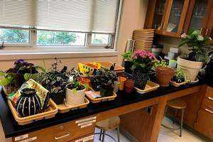 Stress Therapy: Nature in the Classroom