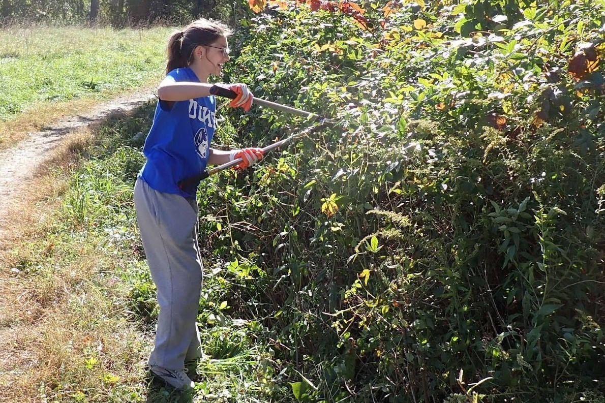 Mental Health Impacts of Environmental Volunteer Work