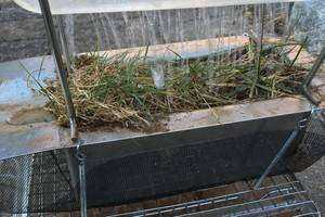 The Effects of Storm Runoff on Long Island Sound Dissolved Oxygen Levels