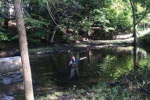 Storm Water Runoff in Gorham's Pond