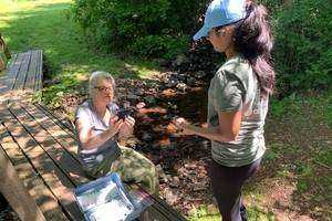 Water Quality Testing in Lucy Brook