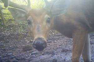 Mapping Cheshire Land Trust�s Fresh Meadows Wildlife Sanctuary 