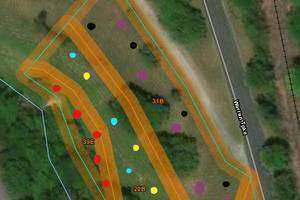 The Role of Pollinator Plant in the Improvement of a Restored Site