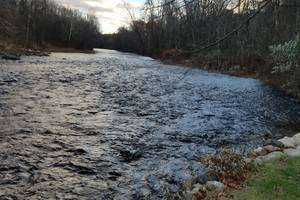 Water Quality Changes in the Farmington River