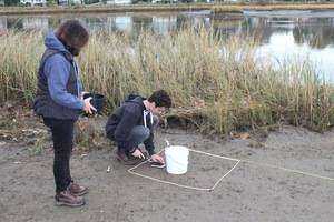 Collection and Measurement of Fairfield Microplastics & the Big Miccroplastic Survey