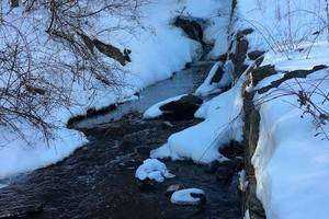 The Value of Wetlands in the Oxoboxo Brook