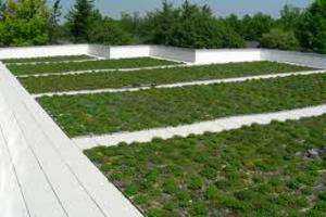 Green Stormwater Infrastructure Survey at Norwich Free Academy