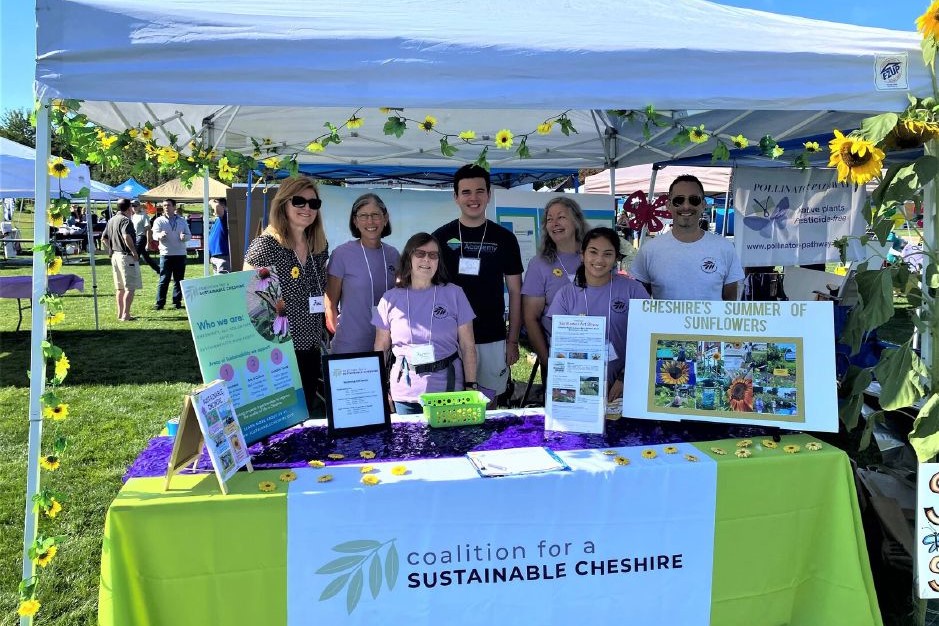 Cheshire Sustainability Fair