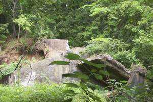 The Purdy Nature Park, Manchester CT: Impaired Parcel and Water Assessment