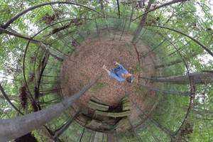 Keney Park Sherwood Forest