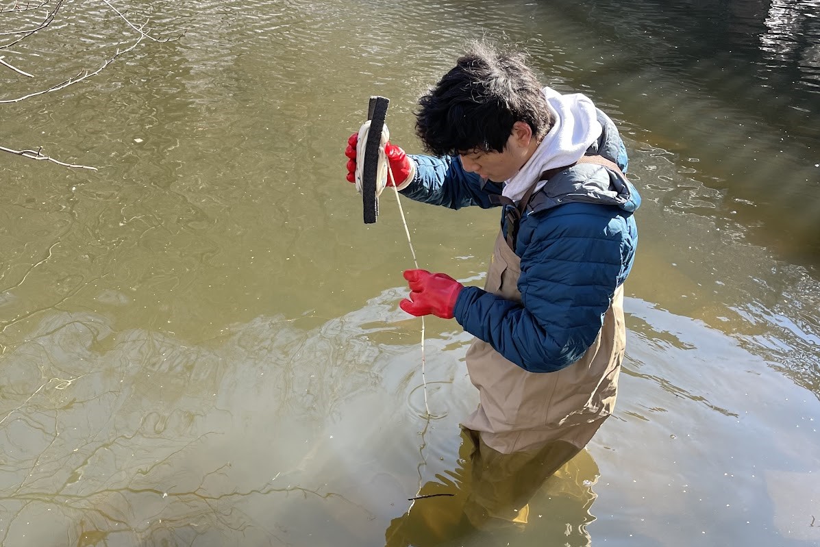 The Impact of Storm Drain Emissions on the Mill River