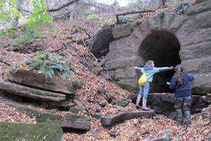 Track-Down Survey of Lyman Meadow Brook