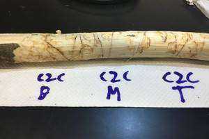 Survivor Trees and EAB