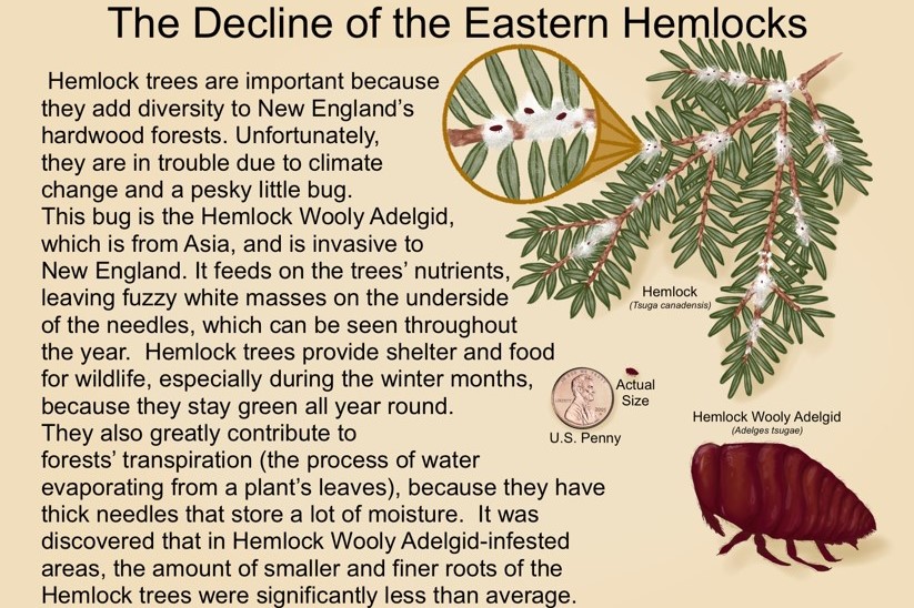 Enhancing the Visitor Experience with Interpretive Signage and Scientific Illustration