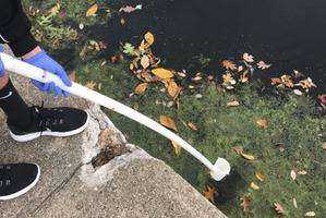 Water Pollution and the Effects on Water Ecosystems