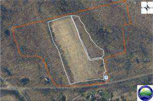 Baseline GIS Mapping of Invasive Plant Species in a Parcel Cockaponset State Forest to Allow for Adaptive Management Practices