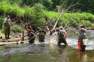 Pomperaug River Restoration Awarness