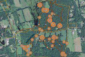 Using Geospatial Technology to Map Invasive Plants at Flanders Nature Center & Land Trust for Future Management