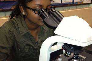 Using Diatoms to Assess the Health of the Mad River, Waterbury, CT