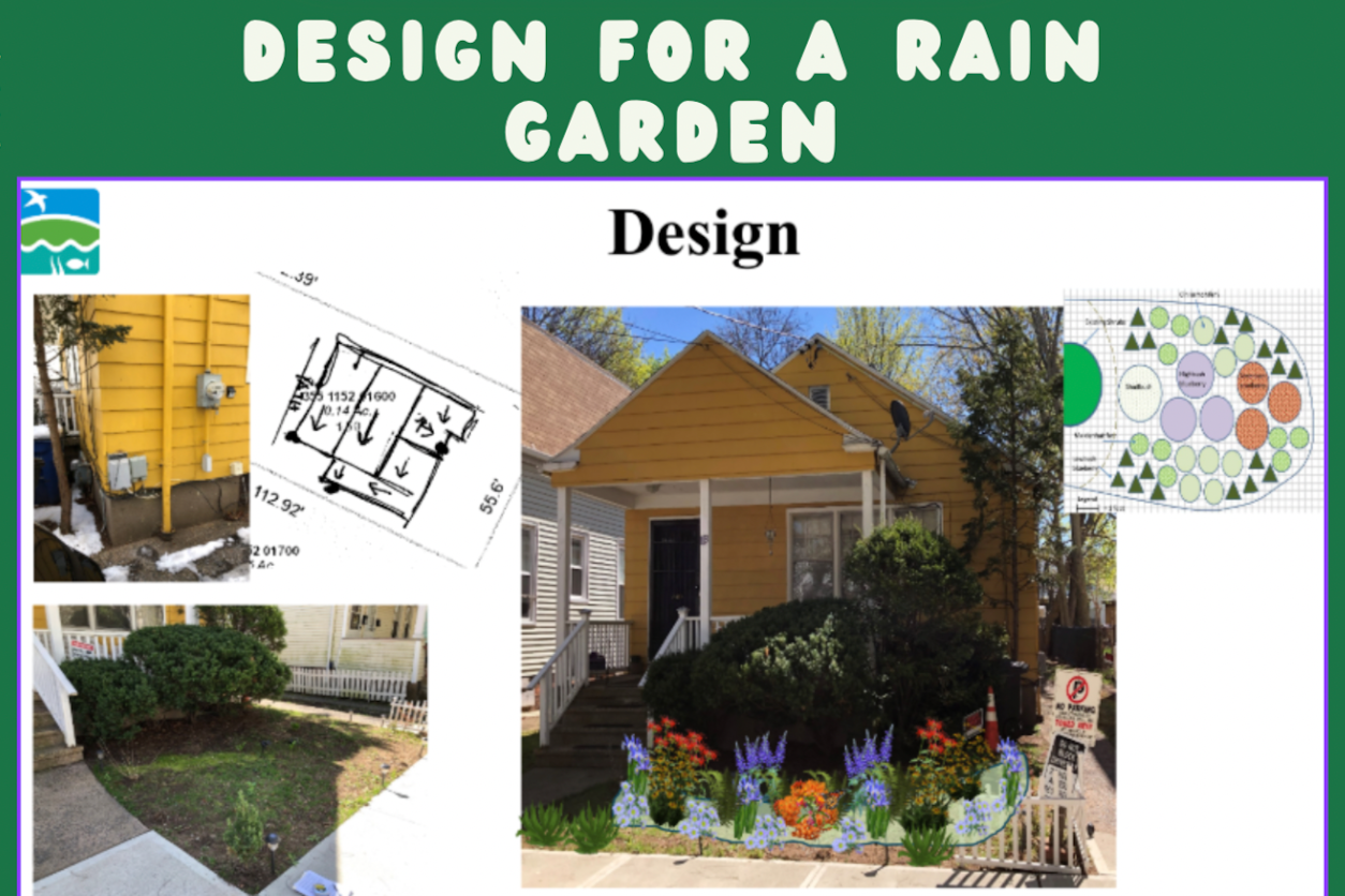 Raising Awareness About Residential Rain Gardens