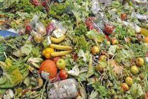 Use of Food Waste As a Natural Resource