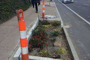 Can Bioswales Effectively Manage Storm Water Runoff in New Haven?