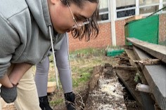The Cultivation and Renovation: Revitalizing a Bridgeport School Garden for a Community Benefit