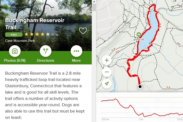 Invasive Plants at Buckingham Reservoir