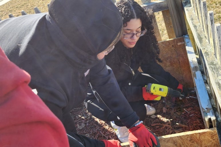 Revitalizing the Windham LatinX Community Garden