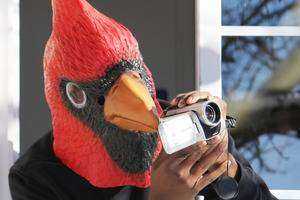 Neighbors in the Sky: Using Popular Media to Introduce People in Connecticut to Common Winter Backyard Birds