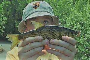 Factors Affecting Fishing Quality at the Branford Supply Ponds?