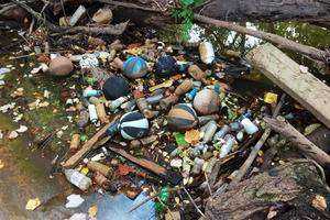Effects of an Urban Oasis on the Wintergreen Brook