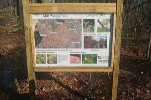Spreading Nature Awareness In Wethersfield