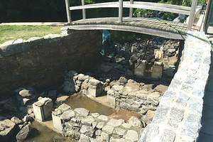 The Positive Impact of Fishways on Our Local Fish Populations