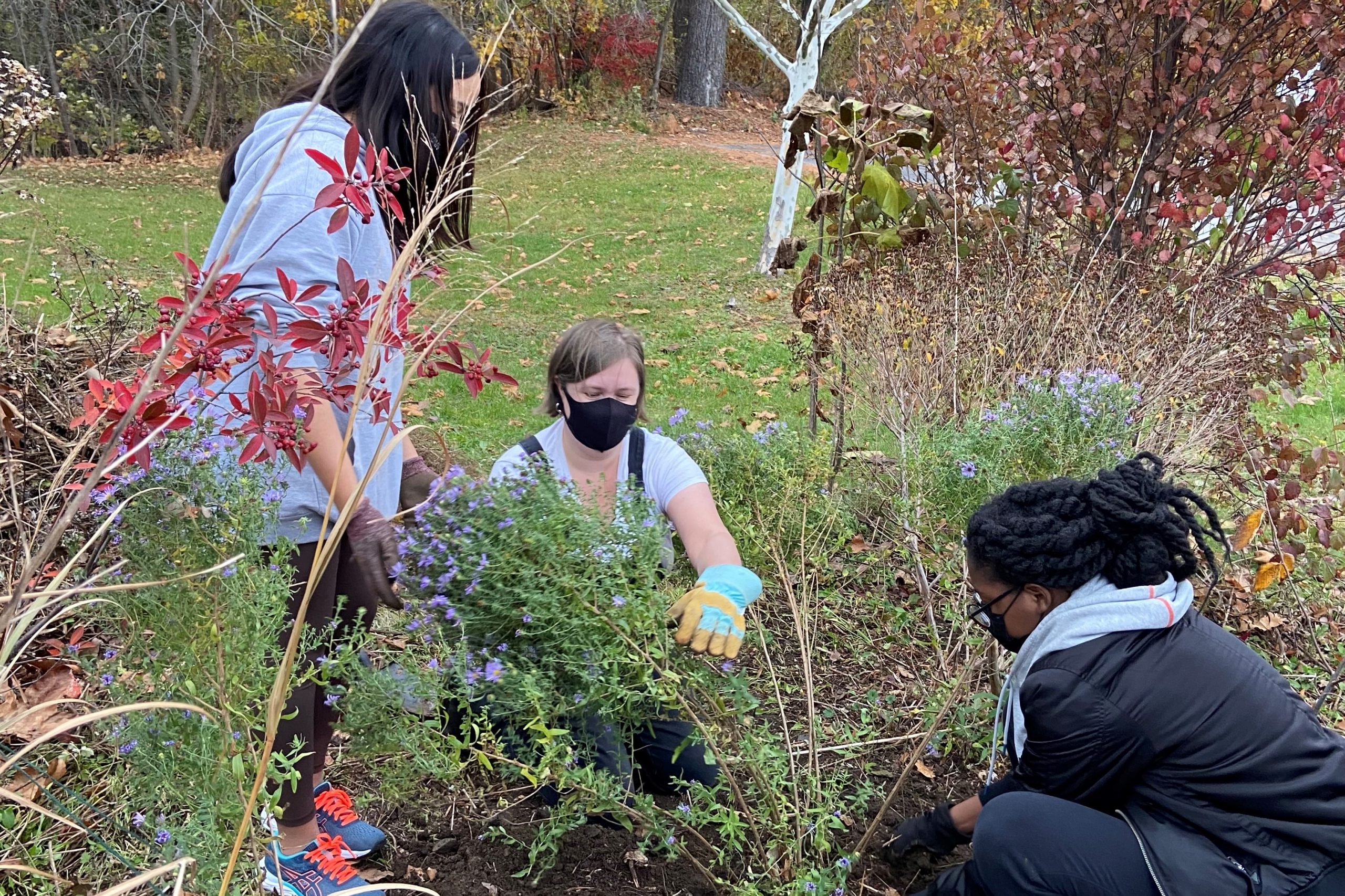Pollinator Garden at Classical Magnet School